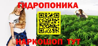 СК Заводоуковск